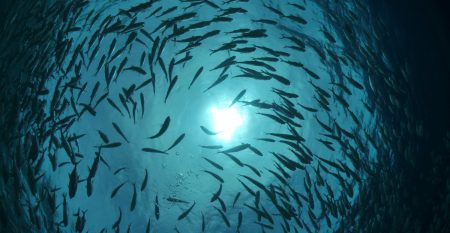 Aquaculture Horizons 2025 Aquaculture Horizons 2025