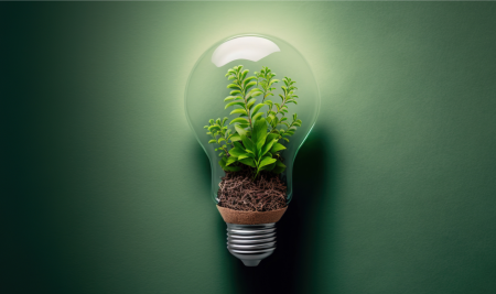 Concurso “IPS Sustentável” | Candidaturas até 24 de novembro  