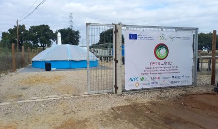 Projeto europeu REDWine inaugura “laboratório vivo” em Palmela para dar nova vida aos resíduos vinícolas