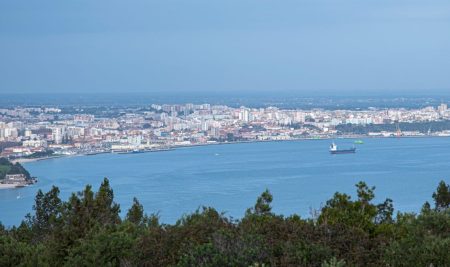 IPS traça retrato atualizado do tecido empresarial do distrito