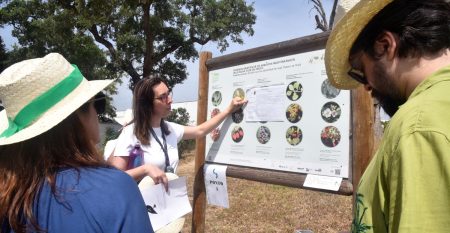 Semana da Sustentabilidade_IPS_ 2024_pedipaper