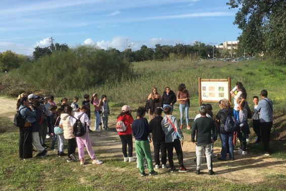Bosque mediterrânico