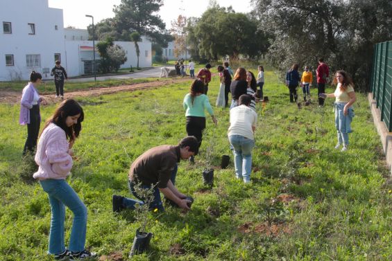 Plantação de espécies autóctones