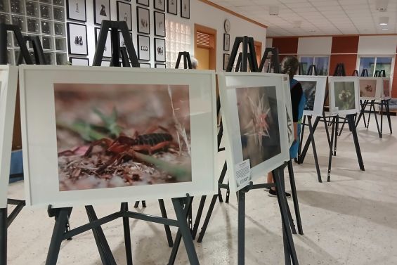 Exposição Itinerante de Fotografia sobre a Biodiversidade do IPS